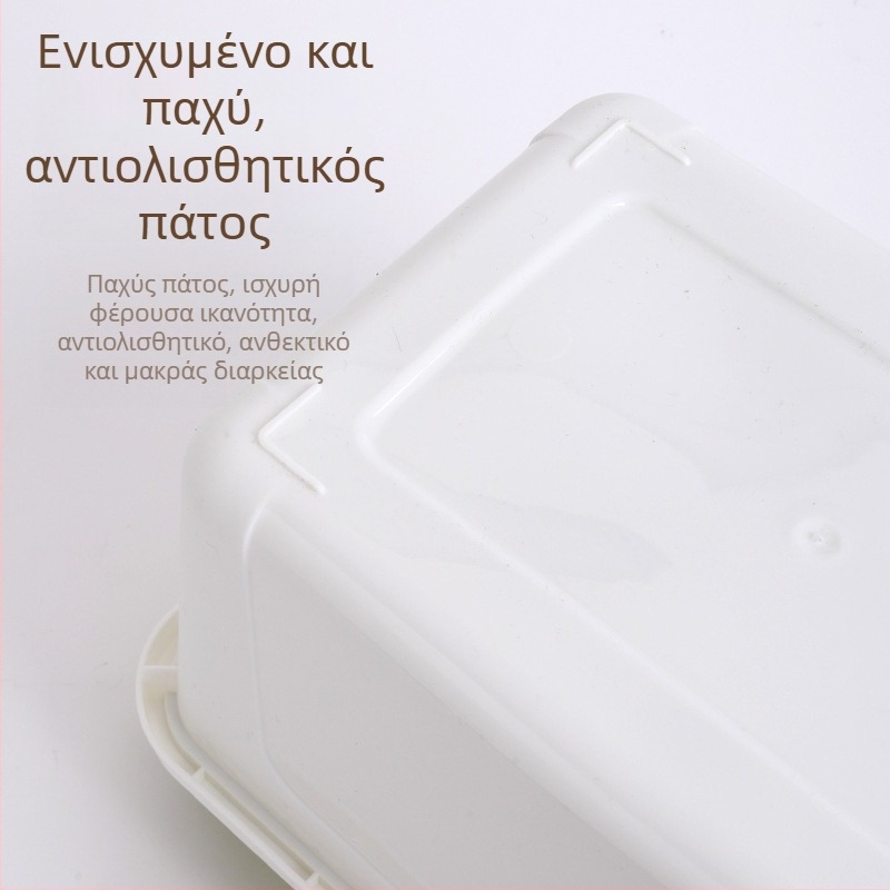 Πολυλειτουργικό πλαστικό κουτί αποθήκευσης, μεγάλη χωρητικότητα 5 L, ανθεκτικό στη σκόνη, φορητός οργανωτής για παιχνίδια και μικροαντικείμενα