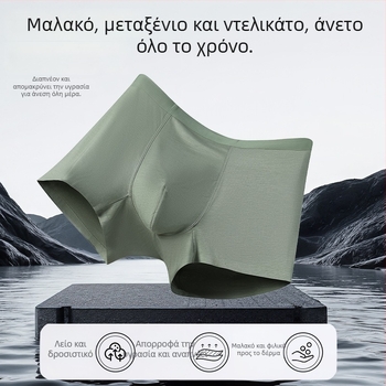 80 τεμάχια ανδρικά εσώρουχα χωρίς ραφές από modal, ενιαίο κομμάτι, άνετα, διαπνέοντα, απορροφούν τον ιδρώτα, αντιβακτηριακά 10A