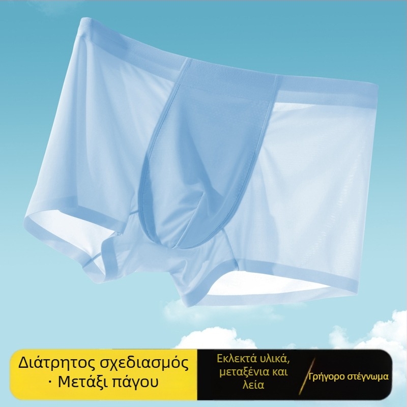 Ανδρικά εσώρουχα από ice silk χωρίς ραφές – γρήγορο στέγνωμα, διαπνοή, boxer με δικτυωτά πάνελ και αντιβακτηριακές ιδιότητες