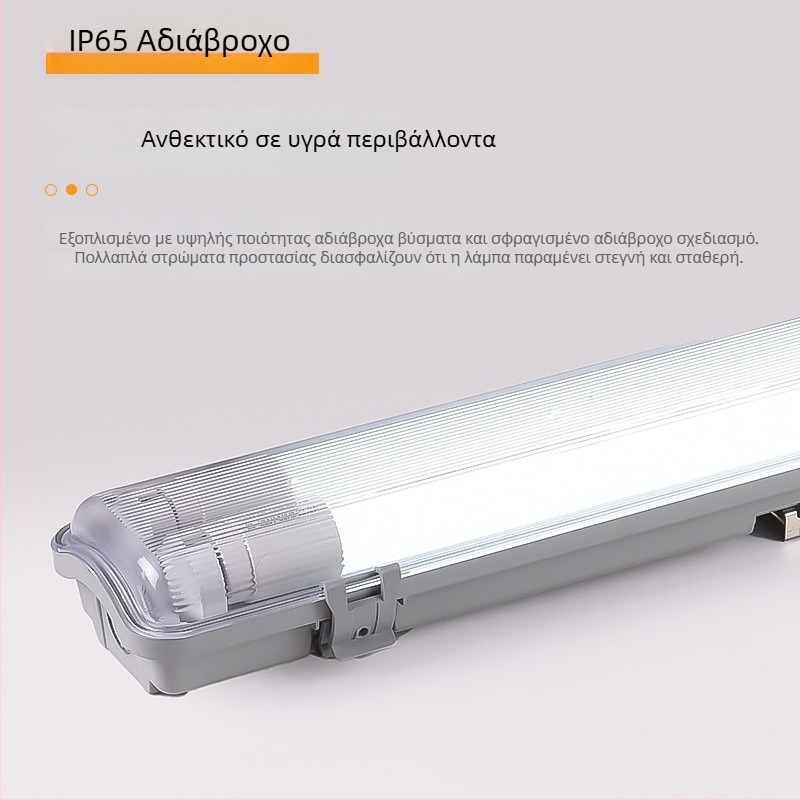 LED T8 διπλός σωλήνας φώτων με θωρακισμένο κάλυμμα, προστασία από έκρηξη, αδιάβροχο, κατά της ομίχλης και της σκόνης, φως καθαρισμού με στήριγμα