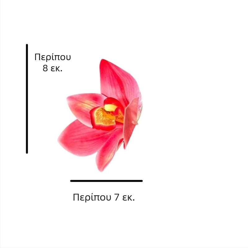 Τρισδιάστατα εκτυπωμένα τεχνητά λουλούδια: κεφάλια ορχιδέας Phalaenopsis και μαγκλόνια για γαμήλιο περιτύλιγμα δώρων