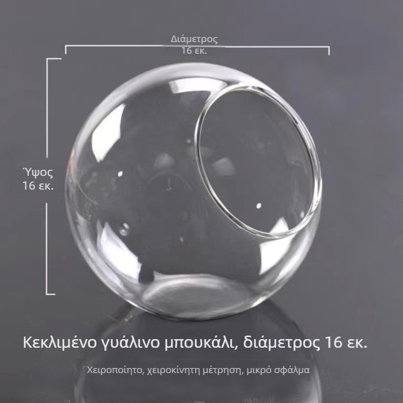 Διάφανη στρογγυλή γυάλινη βάζα με κεκλιμένο στόμιο για μικρο-τοπία και υδροπονική καλλιέργεια παχύφυτων — οικιακή διακόσμηση.