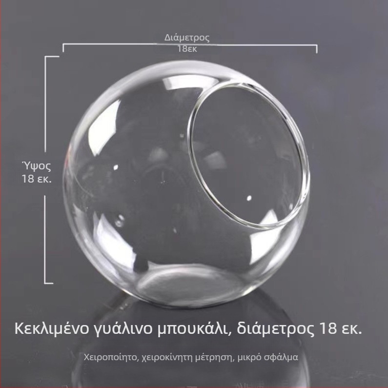 Διάφανη στρογγυλή γυάλινη βάζα με κεκλιμένο στόμιο για μικρο-τοπία και υδροπονική καλλιέργεια παχύφυτων — οικιακή διακόσμηση.