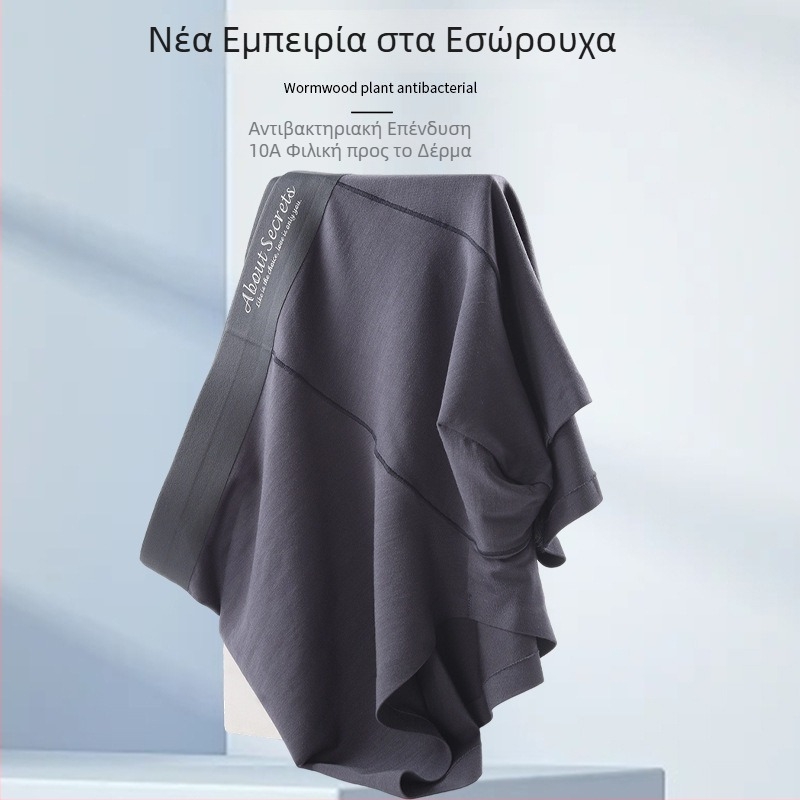 Ανδρικά boxer briefs από Lenzing Modal, αντιβακτηριακά, αναπνέοντα, μεσαία μέση, μονόχρωμα