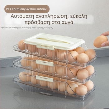 Κιβώτιο αποθήκευσης αυγών με συρόμενο συρτάρι και ράφι για την πλευρική πόρτα του ψυγείου — κουζίνα αποθήκευση αυγών