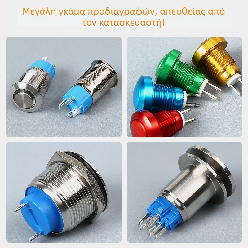 Μικρός διακόπτης κουμπιού ώθησης 30 mm από ανοξείδωτο ατσάλι, αδιάβροχος και ανθεκτικός στη σκόνη, στιγμιαίος τύπος, στρογγυλή επίπεδη κεφαλή, μεταλλικός διακόπτης κουμπιού 30A