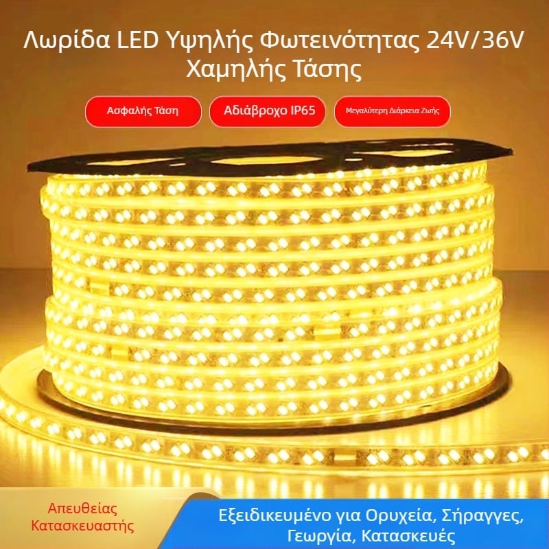 Λωρίδα LED χαμηλής τάσης 24V/36V, υψηλή φωτεινότητα 2835, διπλής σειράς, εξωτερική αδιάβροχη, κατάλληλη για σήραγγες, ορυχεία και γερανούς — φωτισμός ατμόσφαιρας