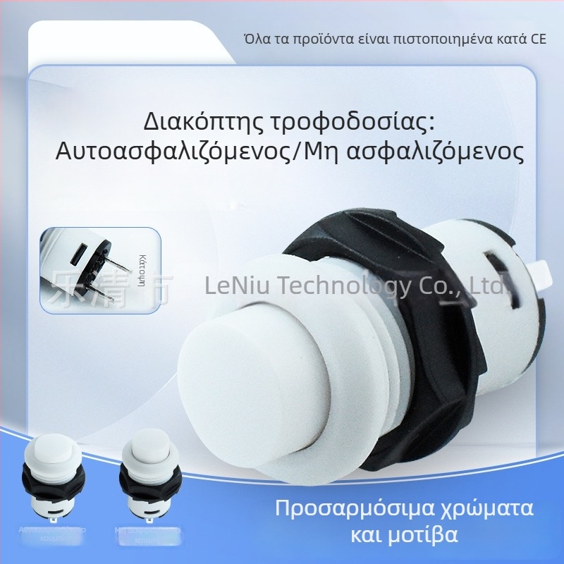 12mm διακόπτης κουμπιού με αυτόκλειδ/χωρίς κλειδωμά DS-425, βιδωτός, λευκός, δύο ακίδες, μικρός, στρογγυλός
