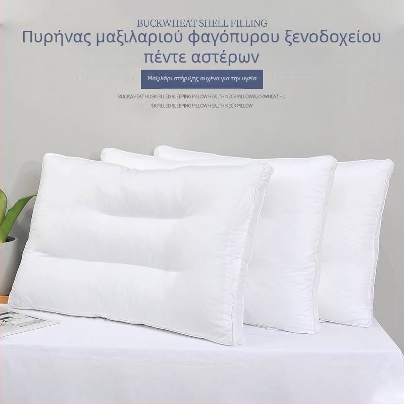 Μαξιλάρι φαγόπυρο με 100% βαμβακερή επικάλυψη, στήριξη αυχένα, ορθογώνιο, απαλό και ελαστικό