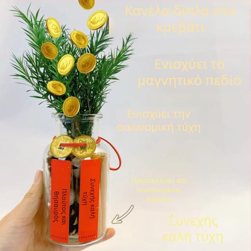Κανέλα διακοσμητικό γραφείου για οικιακή αρωματοθεραπεία – DIY σετ αρωμάτων