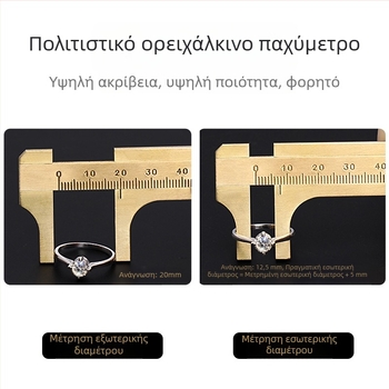 EXPLOIT Γερμανικής κατασκευής, υψηλής ακρίβειας μίνι χαλκός βέρνιερ μετρητής, Wenwan μετρητής, μοντέλο 220239