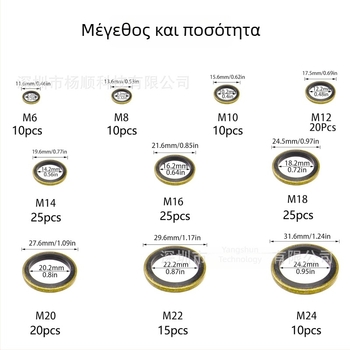 Σετ 170 τεμαχίων από καουτσούκ φλάντζες λαδιού και δακτυλίους σφράγισης για σωλήνες υψηλής πίεσης, μεγέθη M6–M24