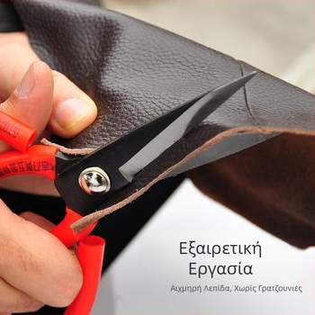 Ψαλίδι Daji για δέρμα και ρούχα, μεγάλα, υψηλού άνθρακα χάλυβα, μαύρο φινίρισμα, ευθεία λεπίδα, μήκος λεπίδας 10 cm, συνολικό μήκος 21 cm