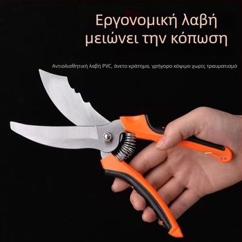 Ατσάλινα ψαλίδια σκόρδου