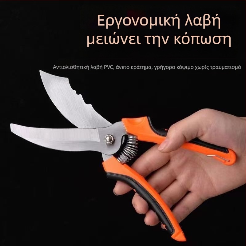 Ατσάλινα ψαλίδια σκόρδου