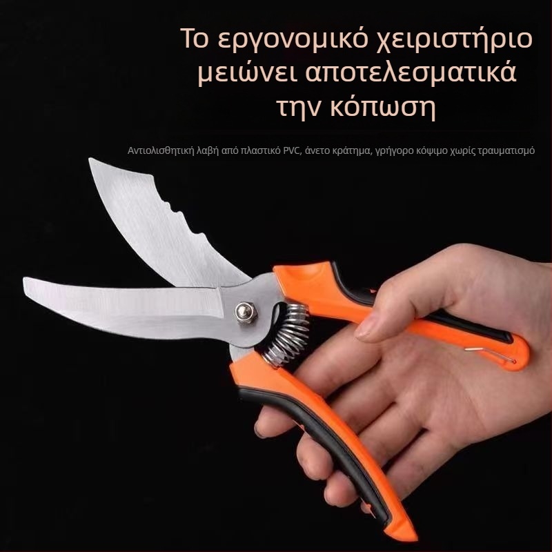 Ατσάλινα ψαλίδια σκόρδου