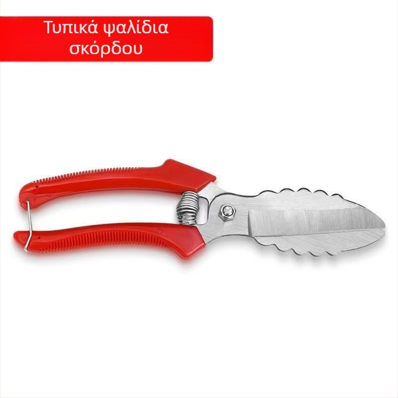 Ατσάλινα ψαλίδια σκόρδου