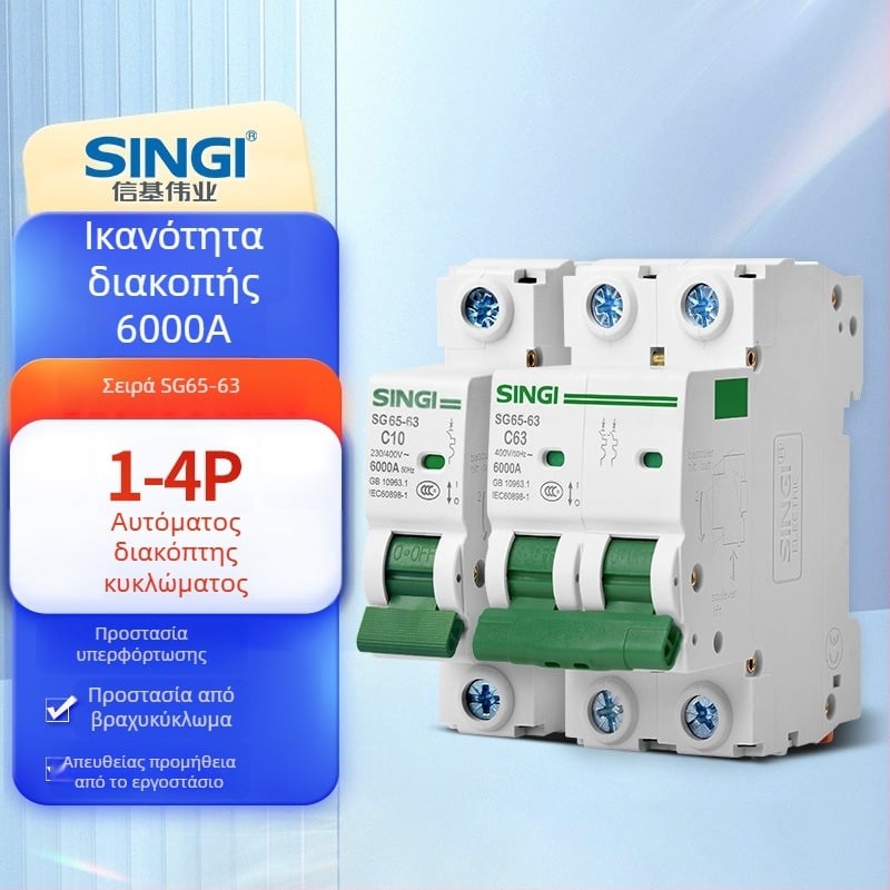 Singi SG65-63 σειρά μικροδιακόπτης, 2 πόλοι, 63A, οικιακή χρήση