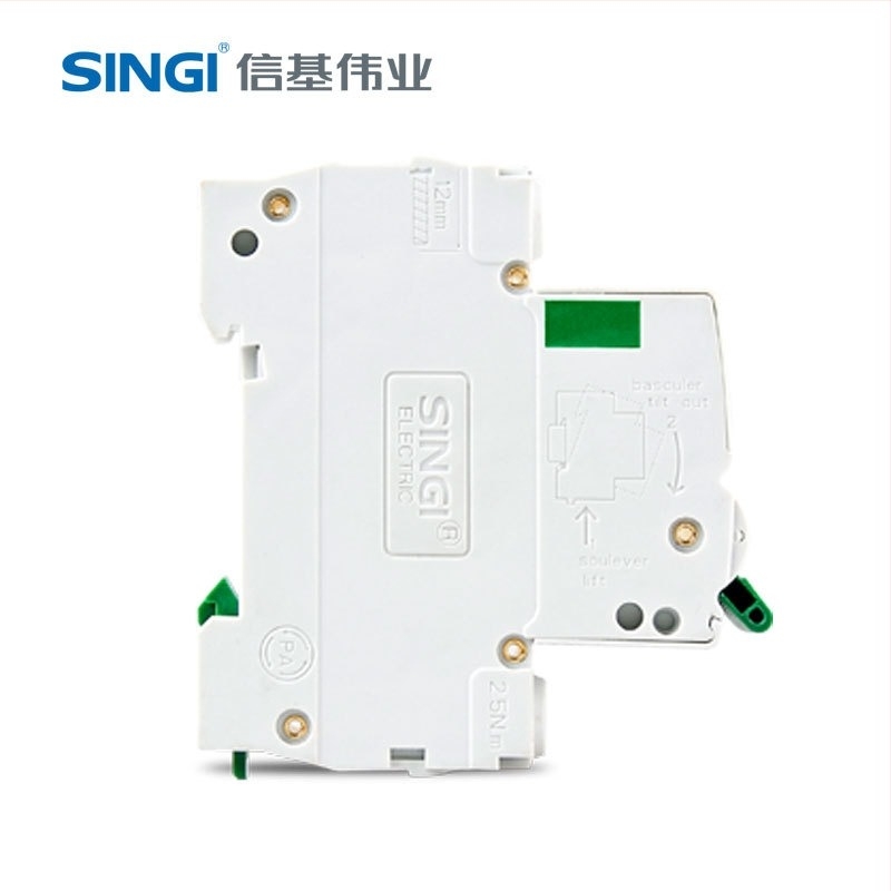 Singi SG65-63 σειρά μικροδιακόπτης, 2 πόλοι, 63A, οικιακή χρήση