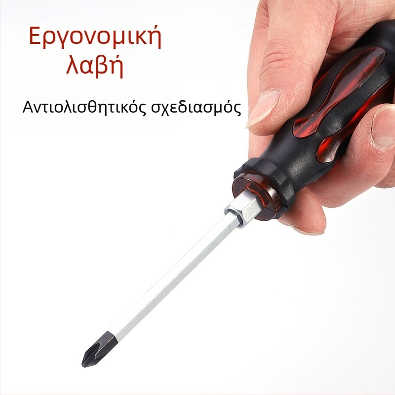 Regt Steel σετ κατσαβιδιών Philips και επίπεδων κεφαλών, από χρωμοβάνδιο χάλυβα, μαγνητικά, αντιολισθητικές PVC λαβές, διάμετρος 1–8 mm, 175 g