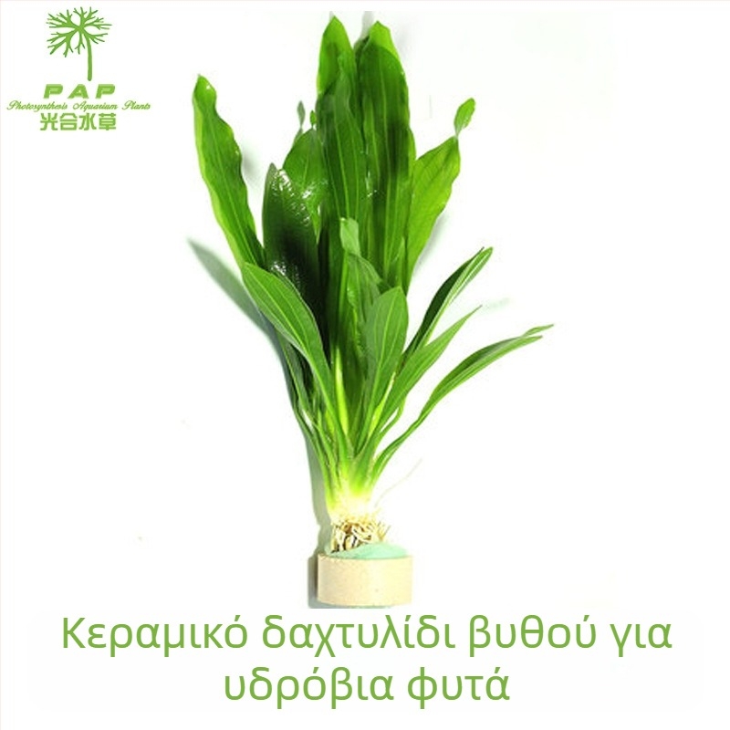 Κεραμικός δακτύλιος για υδρόβια φυτά