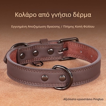 Δερμάτινο περιλαίμιο σκύλου με κουδουνάκι και ετικέτα με εγγραφή, πρόληψη απώλειας, για μικρά, μεσαία και μεγάλα σκυλιά