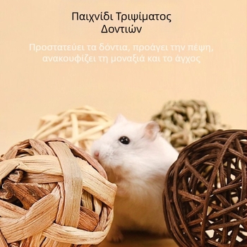 Χάμστερ και τσιντσιλά – μπάλα γρασιδιού για δάγκωμα, χειροποίητο φωλιά από γρασίδι и πλεκτό παιχνίδι ταΐσματος με καρότο