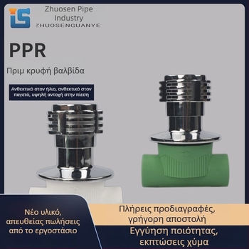 Κρυφή βαλβίδα PPR 1/2 ίντσών, σετ 20 βαλβίδων, με χαλκού πυρήνα για οικιακές εγκαταστάσεις