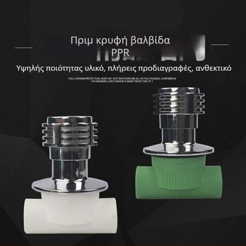 Κρυφή βαλβίδα PPR 1/2 ίντσών, σετ 20 βαλβίδων, με χαλκού πυρήνα για οικιακές εγκαταστάσεις