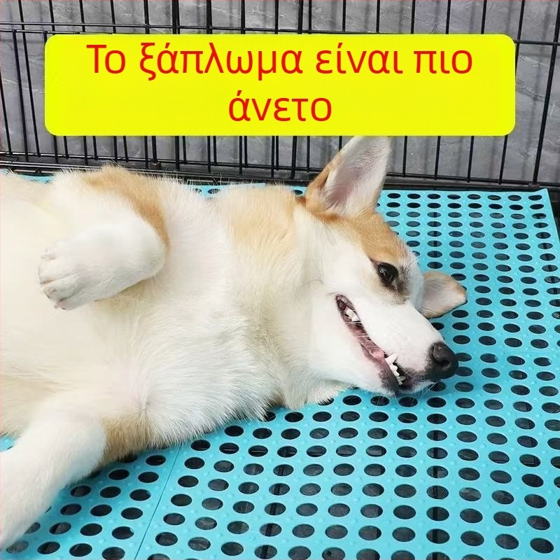 Πατάκι κατοικίδιου για κλουβιά γάτας και σκύλου – αντιολισθητικό δάπεδο με πλέγμα για το κάτω μέρος του κλουβιού