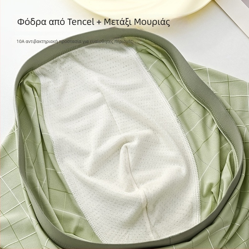 Ανδρικά εσώρουχα Lyocell, Ice Silk με Mulberry Silk, 10A, αντιβακτηριακά, υψηλής ποιότητας μποξέρ
