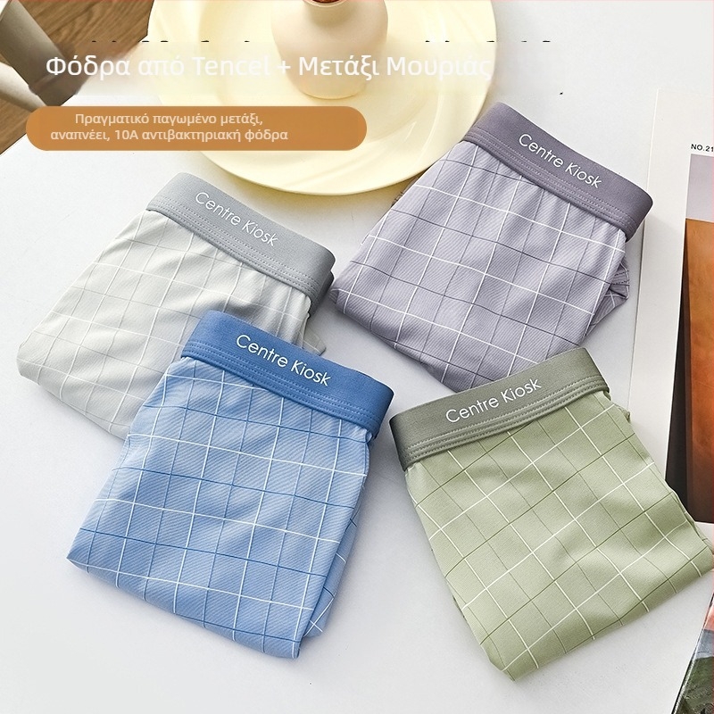 Ανδρικά εσώρουχα Lyocell, Ice Silk με Mulberry Silk, 10A, αντιβακτηριακά, υψηλής ποιότητας μποξέρ