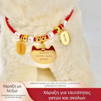 Κολιέ Ταυτότητας Κατοικίδιου με Δωρεάν Χάραξη, Αντι-Απώλειας για Γάτες και Σκύλους