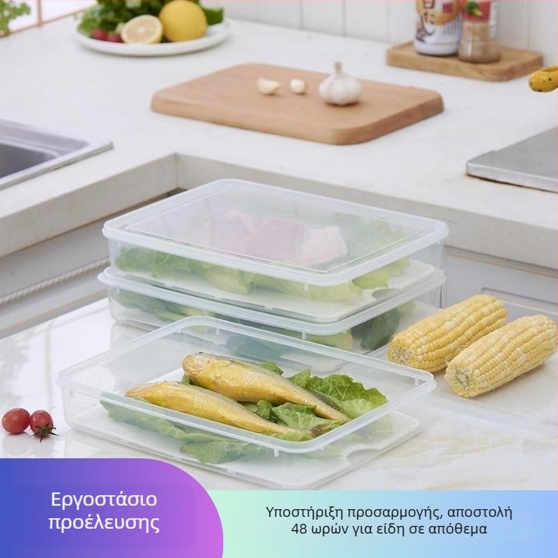 Κουτί αποστράγγισης ψαριών και κουτί διατήρησης φρεσκάδας – για θαλασσινά, κρέας, λαχανικά και τόφου, έλεγχος οσμών