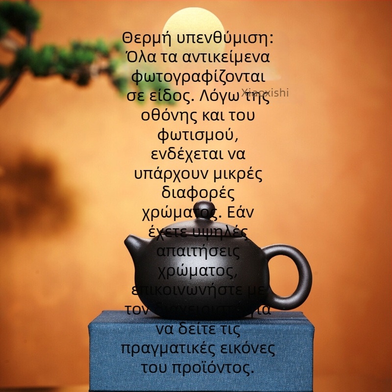 Τσαγιερό μικρής χωρητικότητας από Yixing πορφυρού χρώματος αργίλου για οικιακή χρήση, Gongfu σετ τσαγιού