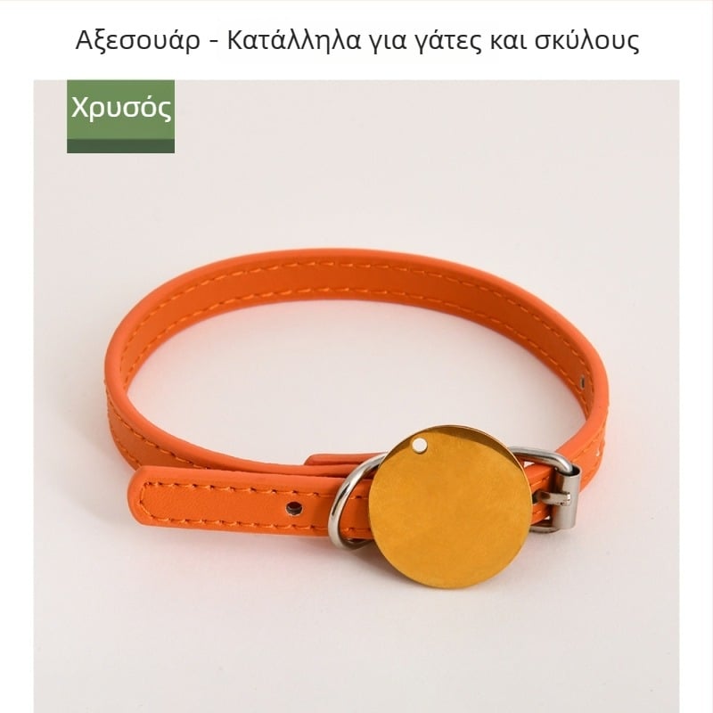 Εξωτερικά αξεσουάρ για κατοικίδια: προσωποποιήσιμες ετικέτες ταυτότητας σε σχήμα κόκαλου για κολάρες