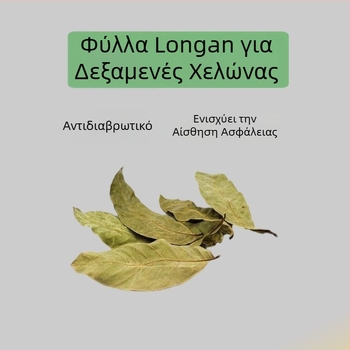 Οικιακό ενυδρείο για χελώνες με οικολογικά υδάτινα φυτά και διακοσμητικό τοπίο για μικρές χελώνες