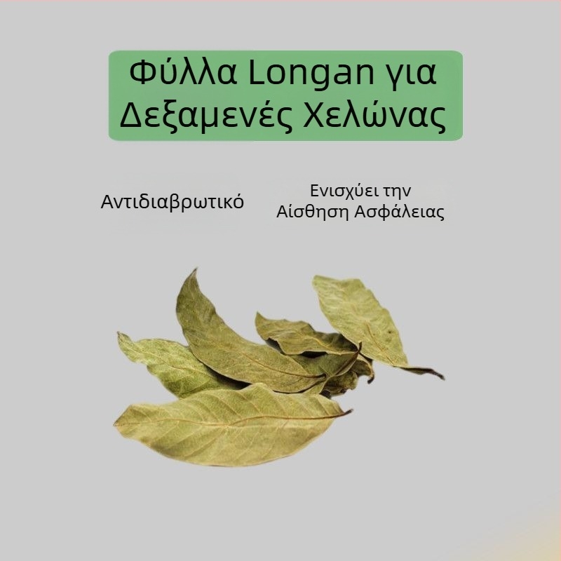 Οικιακό ενυδρείο για χελώνες με οικολογικά υδάτινα φυτά και διακοσμητικό τοπίο για μικρές χελώνες