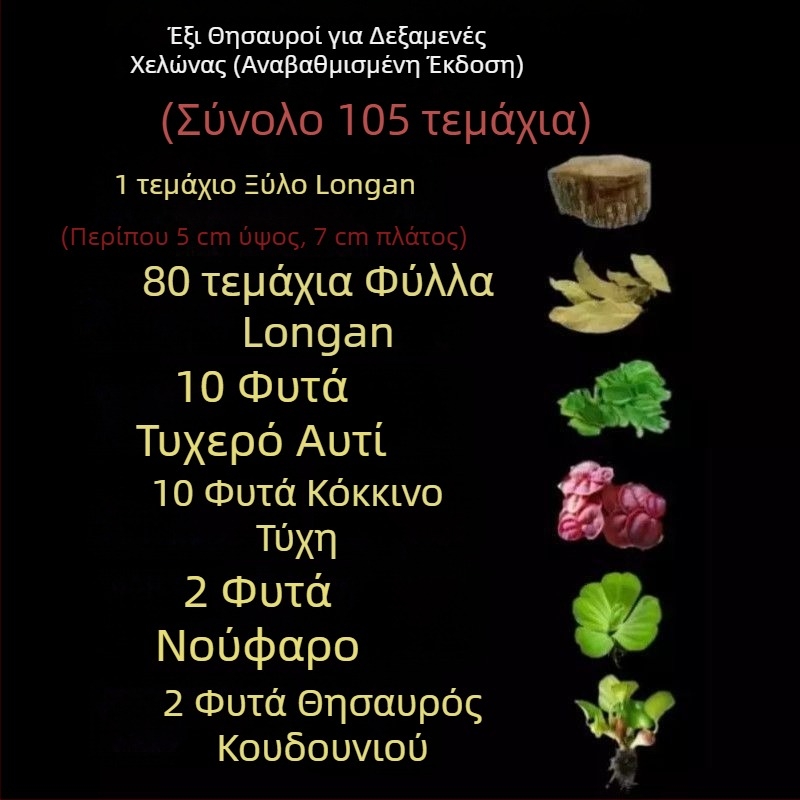 Οικιακό ενυδρείο για χελώνες με οικολογικά υδάτινα φυτά και διακοσμητικό τοπίο για μικρές χελώνες