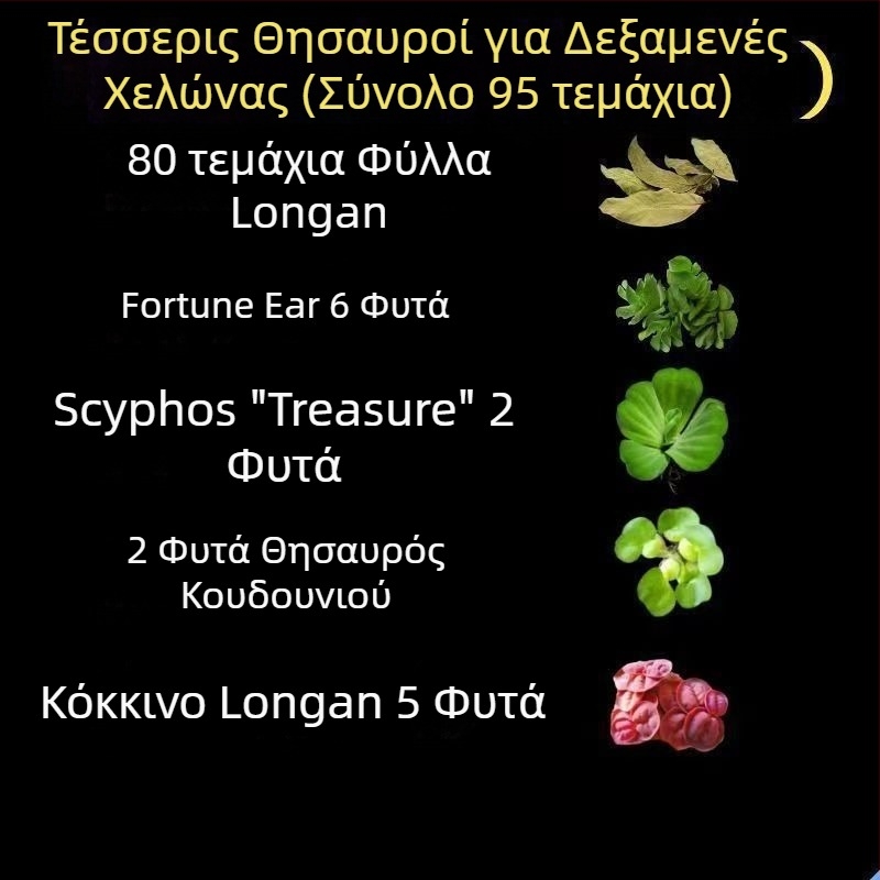 Οικιακό ενυδρείο για χελώνες με οικολογικά υδάτινα φυτά και διακοσμητικό τοπίο για μικρές χελώνες
