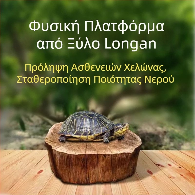 Οικιακό ενυδρείο για χελώνες με οικολογικά υδάτινα φυτά και διακοσμητικό τοπίο για μικρές χελώνες