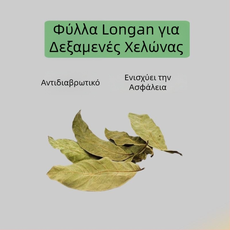 Οικιακό ενυδρείο για χελώνες με οικολογικά υδάτινα φυτά και διακοσμητικό τοπίο για μικρές χελώνες