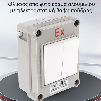 Προστατευμένος από έκρηξη διακόπτης τοίχου, 220V/380V, επιφανειακή τοποθέτηση, περιστροφικός διακόπτης με ασφάλεια μονόπολικός/διπολικός, βιομηχανικός αδιάβροχος διακόπτης