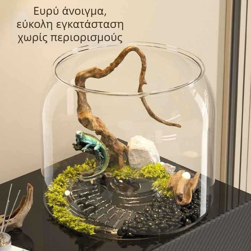 Επιτραπέζιο ενυδρείο χελώνων με οικολογική διακόσμηση και πλατφόρμα ηλιοθεραπείας