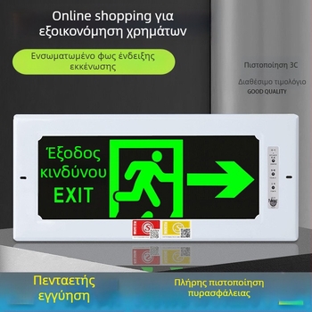 Ενσωματωμένο LED φως έκτακτης ανάγκης πυρκαγιάς με ένδειξη ασφαλούς εξόδου και σήμα διαδρομής εκκένωσης (κρυφή εγκατάσταση)