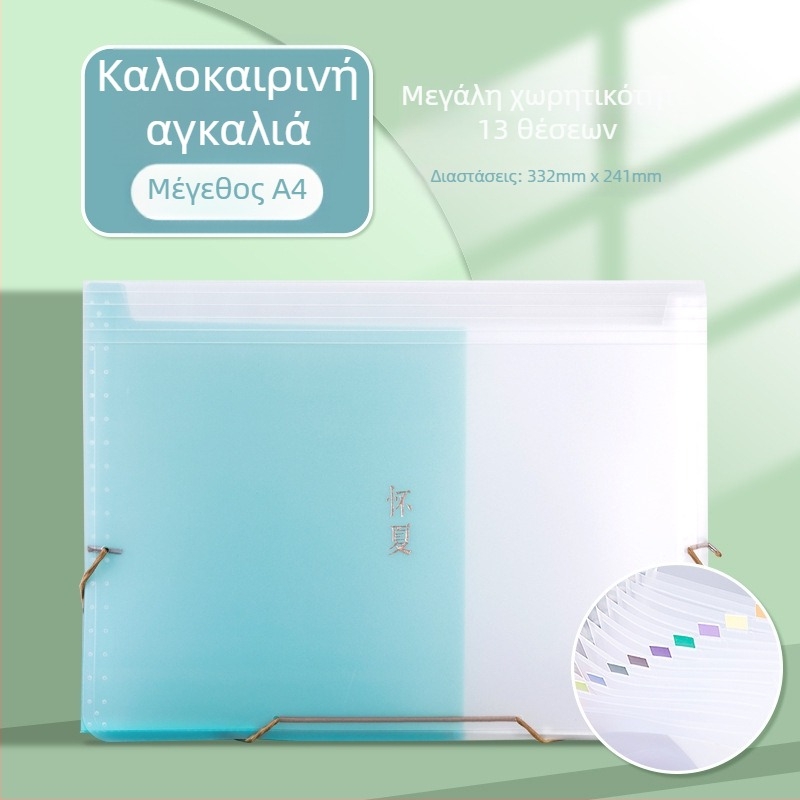 Ακορντεόν φάκελος οργάνωσης εγγράφων για τιμολόγια ΦΠΑ, αποδείξεις, λογαριασμούς, μετρητά και επιταγές