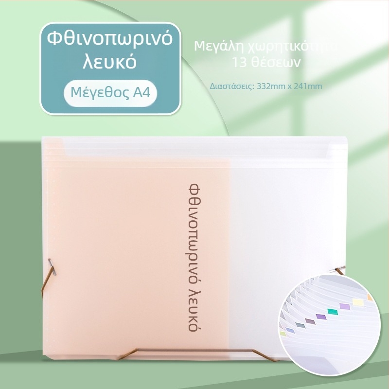 Ακορντεόν φάκελος οργάνωσης εγγράφων για τιμολόγια ΦΠΑ, αποδείξεις, λογαριασμούς, μετρητά και επιταγές