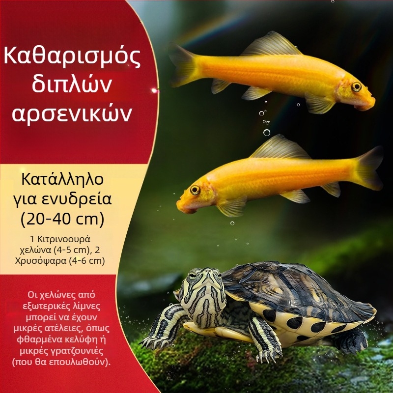 Καθαριστής ενυδρείου για χελώνα με κίτρινα αυτιά, αφαίρεση φυκών και αποβλήτων, κρύο νερό (ζωντανή χελώνα)