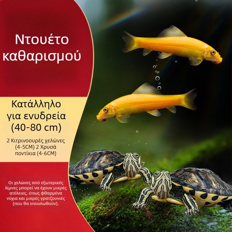 Καθαριστής ενυδρείου για χελώνα με κίτρινα αυτιά, αφαίρεση φυκών και αποβλήτων, κρύο νερό (ζωντανή χελώνα)