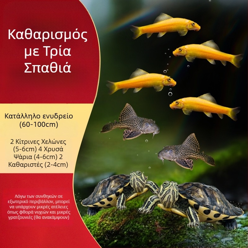 Καθαριστής ενυδρείου για χελώνα με κίτρινα αυτιά, αφαίρεση φυκών και αποβλήτων, κρύο νερό (ζωντανή χελώνα)